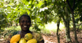 Easy Guild On How To Start Up An Agribusiness