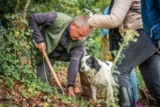 Truffle Hunting in Tuscany