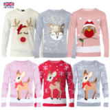 Girls Christmas Jumper XMAS Kids Sweater 3D Novelty Pullover Pom Pom Bird Top