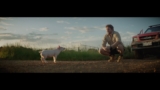 Be Their Hero: Cute Pig TV Commercial – Part 1