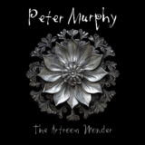 Peter Murphy – “The Artroom Wonder” new album