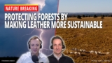 Transforming the Leather Industry to Combat Deforestation