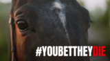 Why The Grand National Needs to Be Banned