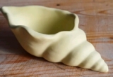 Seashell Trinket Pot Jewellery Display Dish Pake Yellow Conch Shell