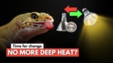 Changing The Way I Heat My Reptiles | Temperature vs Power Density