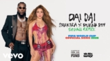 Shakira, Burna Boy, SPINALL – Dai Dai (SPINALL Remix – Official Audio)
