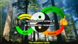 Engineer or Gardener? David Hurst on AI, the Ecocycle and the Rigidity Trap