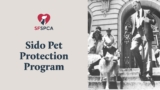 The SF SPCA Sido Pet Protection Program