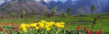 14 Wondeful Places to visit in April in India