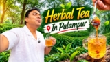 Hot Herbal Tea In Palampur Tea Garden | Osho Tea Garden