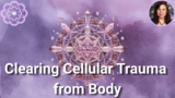 Clearing Trauma in the Body