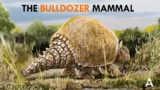 The Armadillo The Size Of A Beetle (The Car)