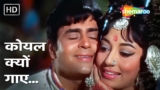 कोयल क्यों गाए | Koyal Kyon Gaaye | Aap Aye Bahaar Ayee (1971) | Rafi-Lata | Rajendra Kumar, Sadhana