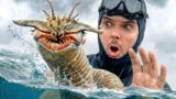 Deep Sea Worm Attacks Everything!