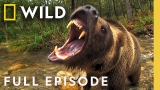 Inside America’s Last Wild Frontier (Full Episode) | Alaska’s Deadliest | Nat Geo Animals