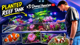 From Aquariumhuis Romberg to the Cover of Reef Hobbyist Magazine: Inside Danny’s Studio Tour | Reef Builders