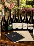 Collavini: Where Tradition Meets Innovation in Collio