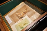 Dog Save The Queen: Best Corgi-Themed Platinum Jubilee Gifts