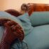 Lorem ipsum dolor sit amet