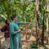 Tiger Conservation – Tiger safari – Wildlife Blogs