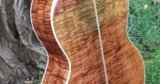 The Luthier’s Apprentice: Amsterdam