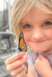 How to Raise Monarch Caterpillars (From Milkweed to Butterfly)
