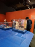Why Visiting a Museum (Now and Then) Is Good for You – City Adventurers