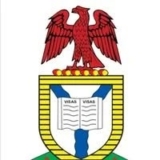 Nigerians in US must now apply for visas directly.