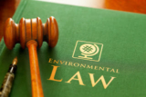 Environmental Impact Assessment Draft 2020 by DakshaMasterclass [5th Aug]