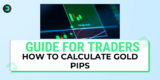 How to Calculate Gold Pips: Comprehensive Guide for Traders