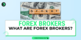 What Are Forex Brokers?
