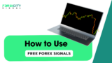 How to Use Free Forex Signals to Grow Your Account