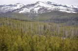Wyoming Association of Archaeologists Sues Fed Gov’t Over NAGPRA