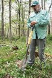 Helping Ramps Flourish Through Forest Farming