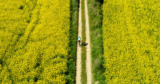 Carbon Offsetting Explained | DuVine Blog