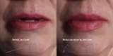 Reallusion launches AccuFace 2 | CG Channel