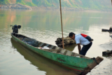 Could El Niño trigger aquaculture’s shift to algal oil?
