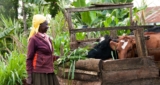 Taking Risk-Informed Finance to Pastoralists