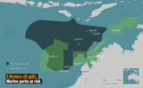 Woodside’s own modelling reveals catastrophic oil spill risk at Scott Reef