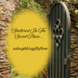 Sheltered In The Secret Place – adaughtersgiftoflove