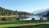 A Walk Towards Renewal By Dr. Teresa Moon