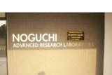 Noguchi Memorial Institute Employees to stop testing as they Cry for Allowances