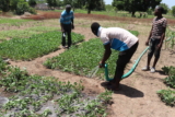 Creating Quality Rural Jobs in Ghana