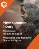 Monterey Bay Aquarium — Start your day on the bay! ☀️🦦