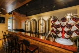 Craft Brewing Equipment: The Complete Guide to Planning, Buying, and Setting Up Your Brewery