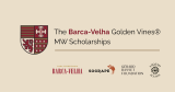 Wine educators win Barca-Velha Golden Vines MW Scholarships