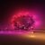 Philips Hue White and colour ambience Festavia string lights