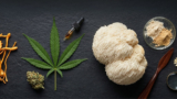 Functional Synergy: Adaptogens & Cannabinoids