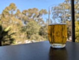 iGulu F1 — Smart home brewing – Australian Review