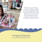An Important Lesson For Your Family Dog